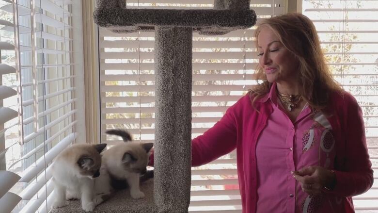 A woman stands beside a cat play furniture with two white kittens on top of it. 