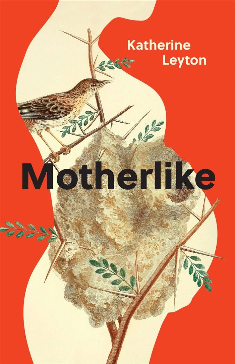 A book cover featuring artwork of a pregnant figure, with bird sand twigs overlaying the body.