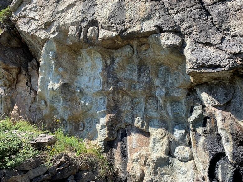 A rock outcrop has many indentations where soapstone was removed by the Dorset people centuries ago.