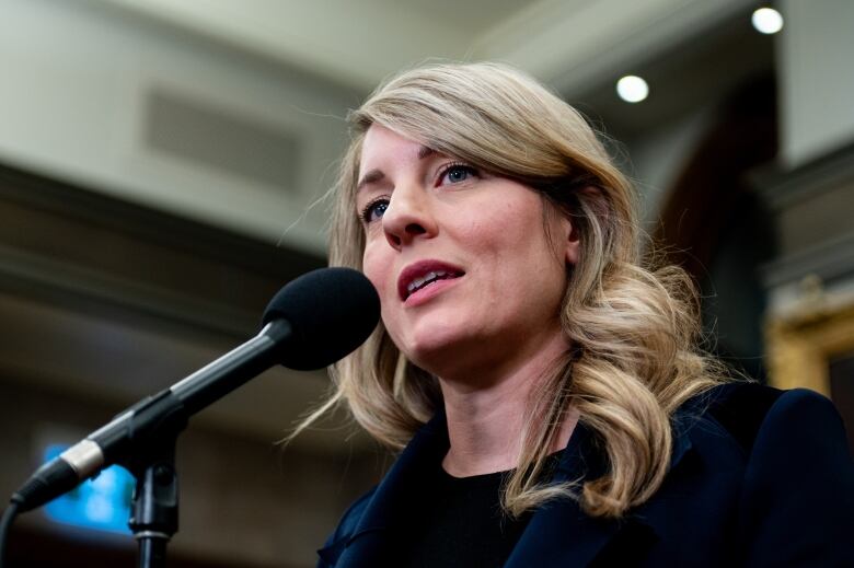 A woman stands in front of a microphone.