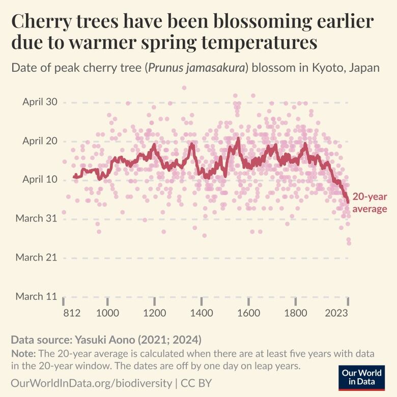 A scatter plot with pink dots and a red average trendline in the middle