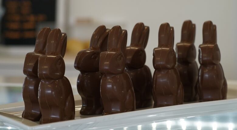 A row of chocolate bunnies.