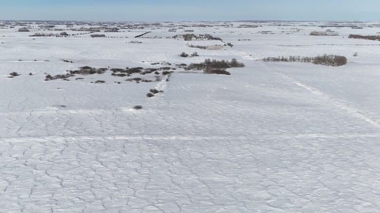 Snow in a farm field near Saskatoon in early March, 2024.