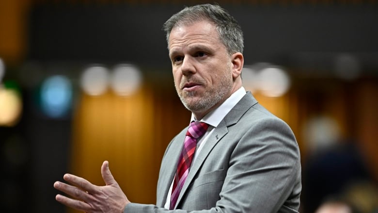 Minister of Health Mark Holland rises during Question Period in the House of Commons on Parliament Hill in Ottawa on Thursday, Feb. 29, 2024.