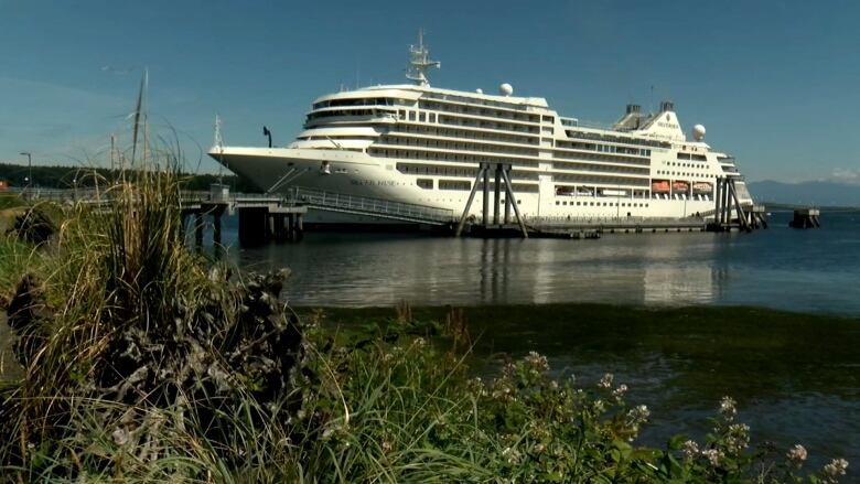 A cruise ship docked at the Nanaimo terminal in 2019, the last time that cruises came through the Harbour City prior to the 2024 season. 