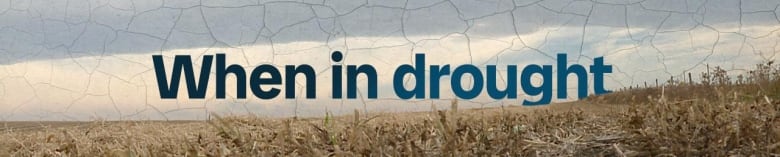 Image of dry field and a blue-grey sky. A close examination of the sky reveals the image of dry creek bed. 