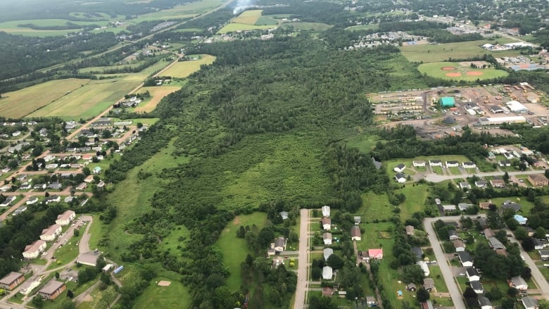 A field of trees surrounded by a residential area is seen from a helicopter's point-of-view.  