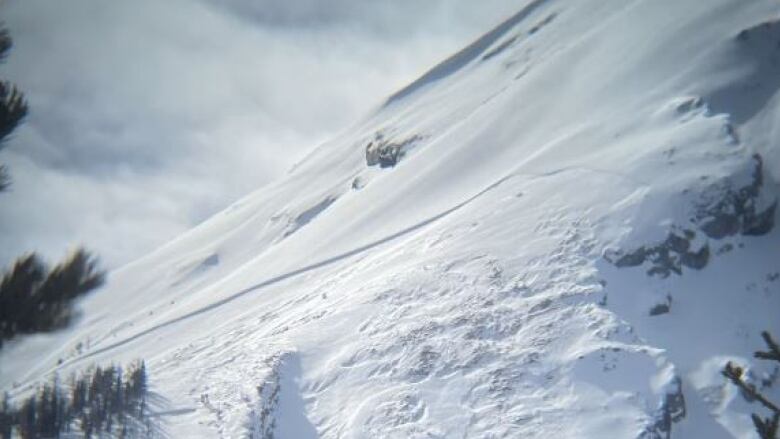 View of avalanche start zone and upper track.