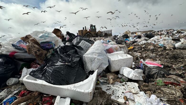 A pile of garbage is in the foreground of the photo. In the background, a bulldozer drives across a landfill and birds fill the grey sky. 