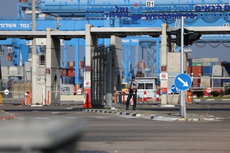 A guard wearing a hat is shown in the distance standing in front of a border-like structure with gates.