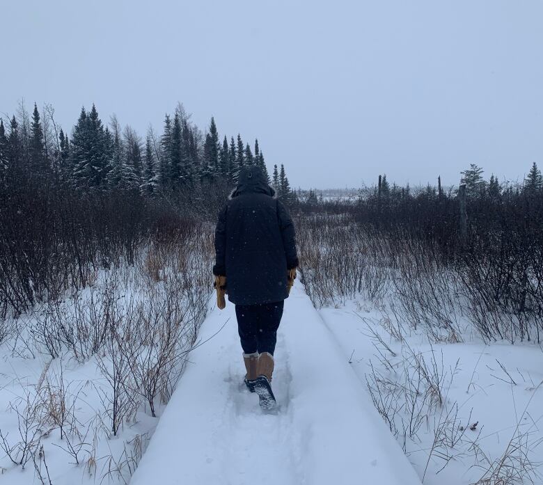 A boy walks through a wintery forest. 