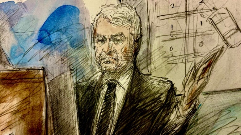 A court sketch of crash reconstructionist, Barry Raftery, at Umar Zameer's murder trial.