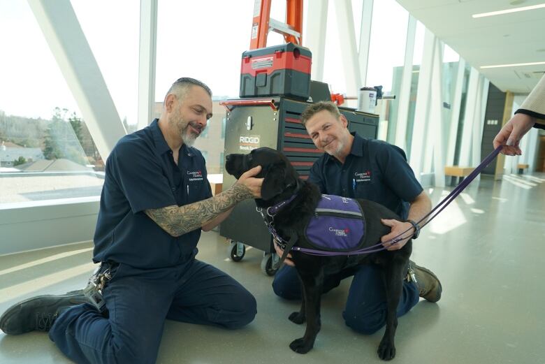 Two maintenance workers kneeling on the floor petting a black Labrador service dog.