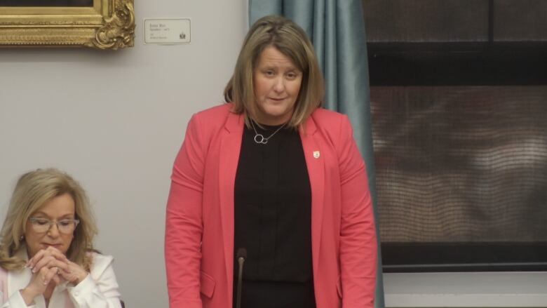 Jenn Redmond stands in the PEI Legislature wearing a pink jacket with a black top underneath.