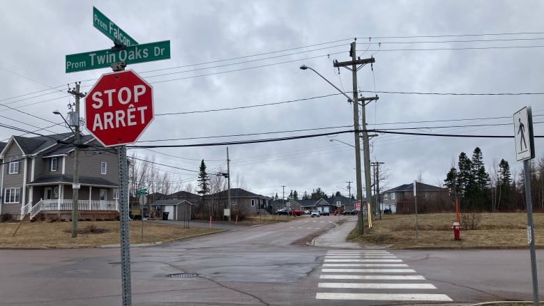 Intersection with crosswalk and stop sign