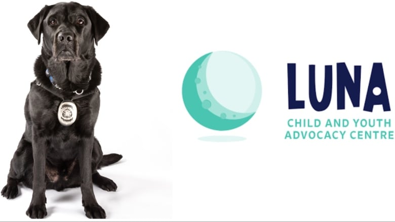 On the left, a black lab wearing a police badge. On the right, the Luna Centre logo.