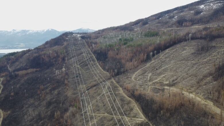 A drone camera captures the powerlines that the B.C. Wildfire Service used as a control line to prevent the fire from spreading. Burnt forests can be seen on both sides of it.