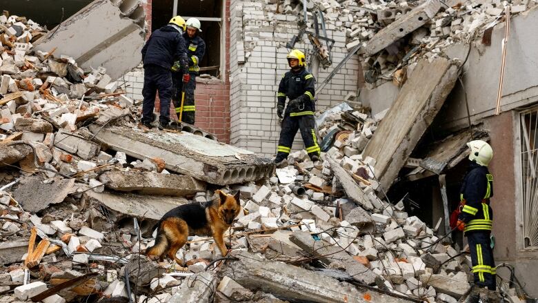 Rescue workers and a dog stand in the rubble of a building.