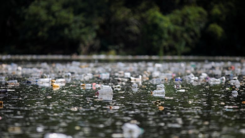 Plastic waste floats in a reservoir in El Salvador