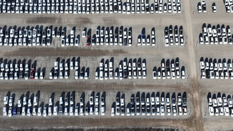 A bird's eye view of dozens of cars lined up beside each other on a dusty gravel lot. Most have white roofs.