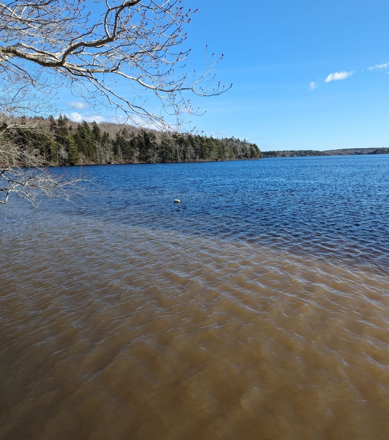 A lake with a streak of brown water across it.