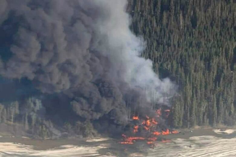 Smoke and flames are seen on the edge of a forest, from overhead.