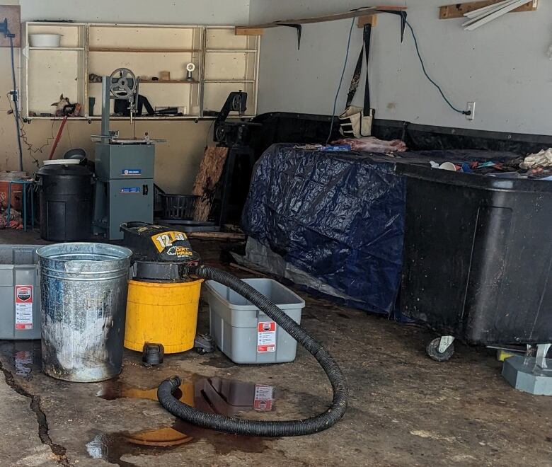 The interior of a garage with a wet-dry vacuum, a garbage can and several rubber tubs. A table at the back of the garage is covered in a large top. Visible on the top are skinned pieces of an animal  