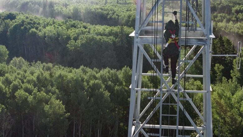 A woman wearing protective gear climbs a metal ladder. She is surrounded by a boreal forest.