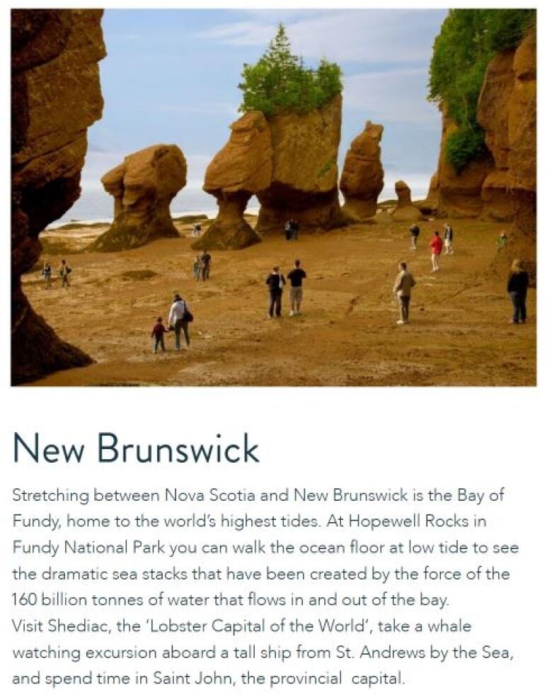 ad showing Hopewell Rocks