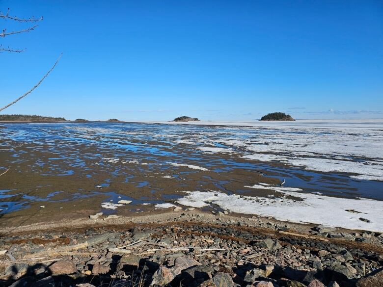 A bay shows low water, some soil is even peeking through.