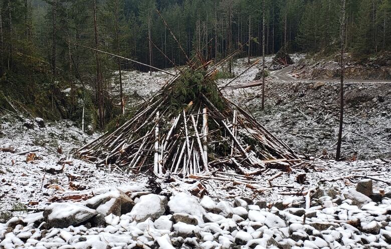 pile of wood and logging debris at side of dirt road