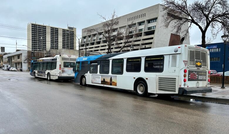 Transit buses parked along the street.