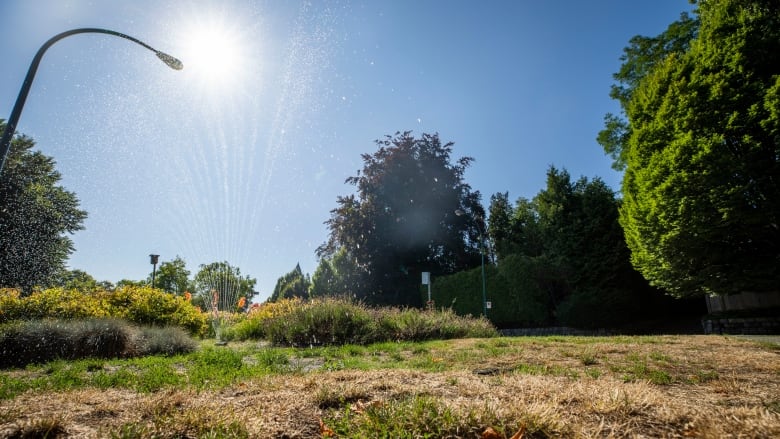 A dry lawn receives some water from a sprinkler on a sunny day.