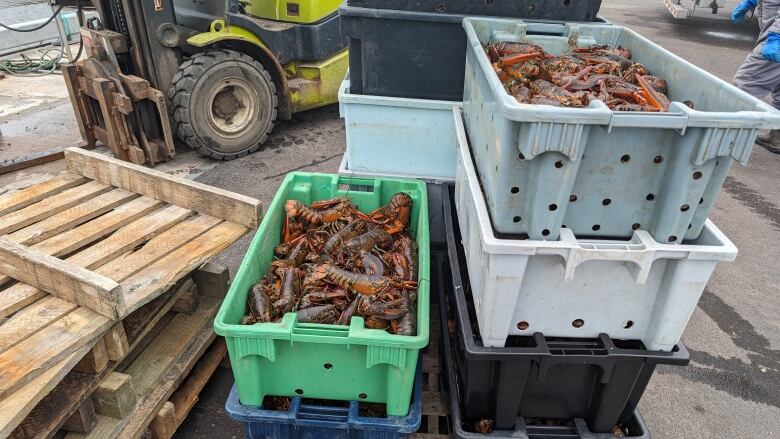 Buckets of lobster.