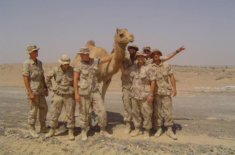 A group of men dressed in army fatigues stand around a camel. 