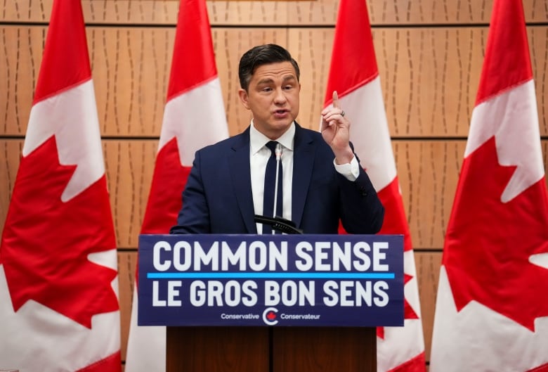 Conservative Leader Pierre Poilievre addresses the national Conservative caucus on Parliament Hill in Ottawa on Sunday, Jan. 28, 2024. The Conservative Party of Canada raised more than $35 million during Pierre Poilievre's first full year as leader  and the federal Liberals brought in less than half that amount.