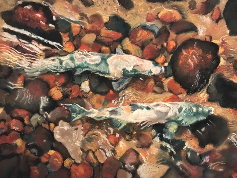 A pastel painting of salmon swimming a stream