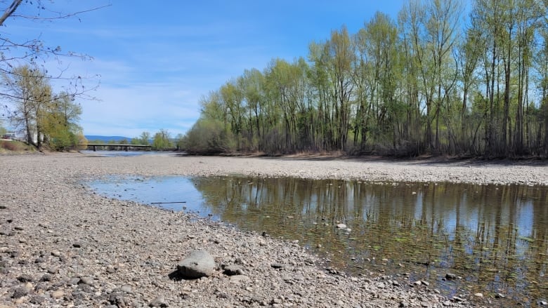 A dry riverbed with a puddle in it.