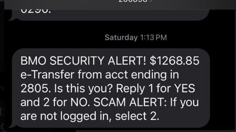 Screen grab of a text alert warning of a e-transfer alert.