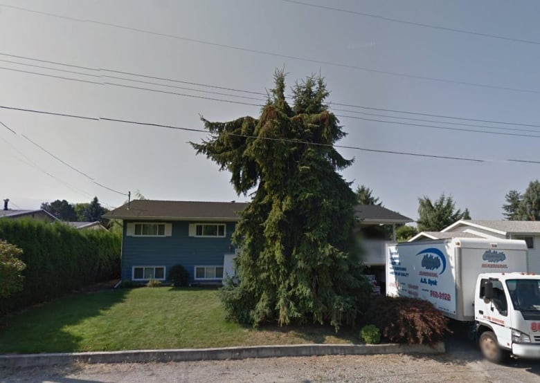 A large tree on a front yard towers beside power lines. 