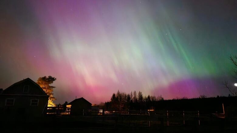 Northern lights are seen with silhouettes of houses in teh foreground.