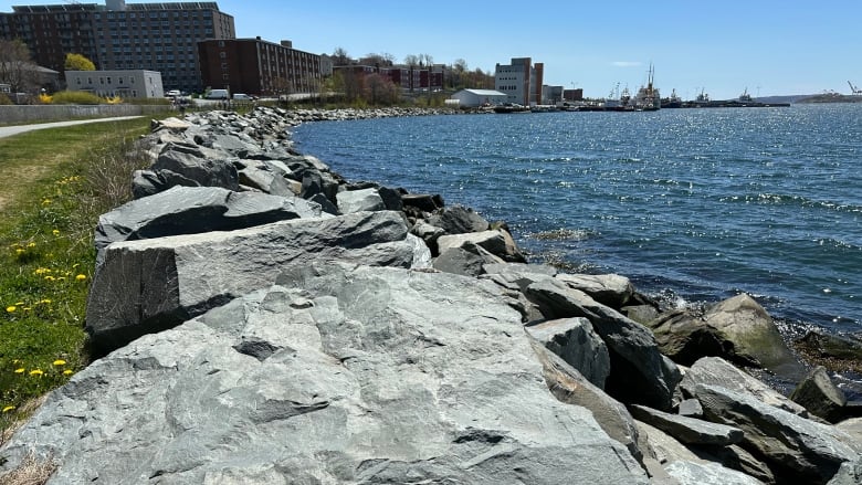 Rocks along a shoreline are shown.