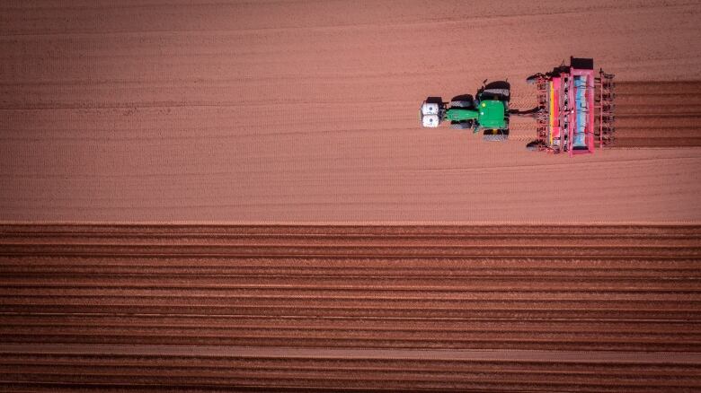 Aerial view of potato field with tractor.