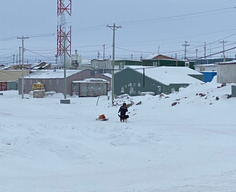 A man seen in the distance of a snowy community shot with his dog and sled 