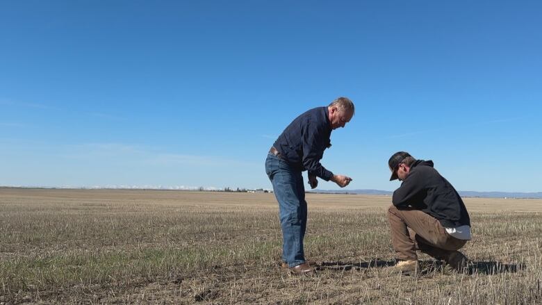 Two men crouch down in a field with stubble.