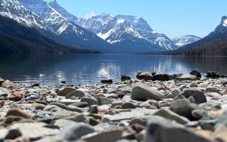 A photo shows a rocky beach in the foreground and snow-capped mountains surrounding the Canadian side of Waterton Lake.   