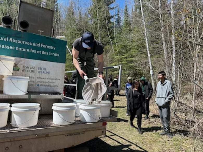 one of the fish stockers is up on the fish hatchery truck scooping fish into the buckets and hauling them down to the lake.