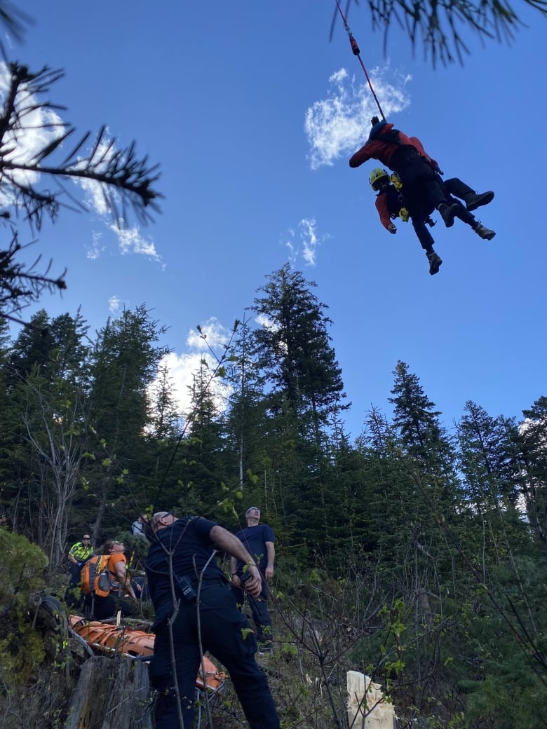 Crews descend on a cable where someone is sitting in the forest loaded up on a stretcher.