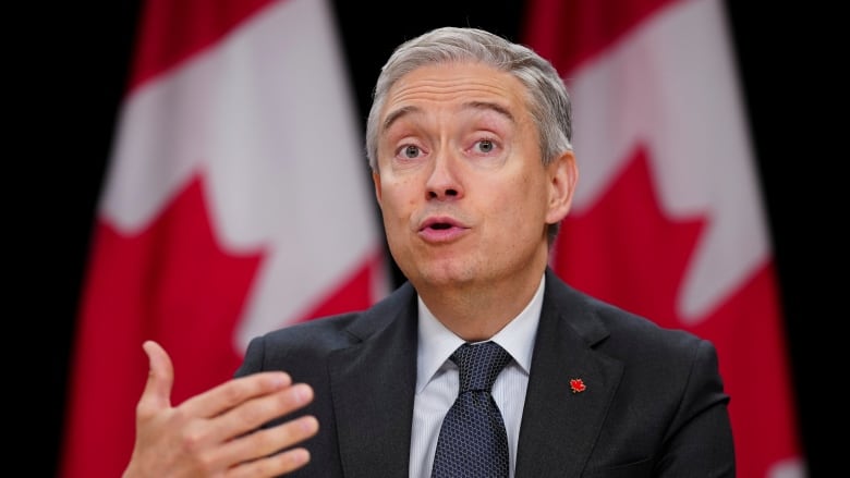 W man in a dark suit gestures with his hand has he speaks. A pair of Canadian flags are draped in the background.