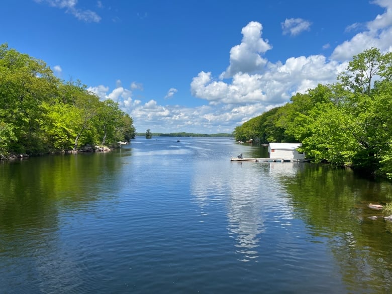 A lake on a sunny spring day.